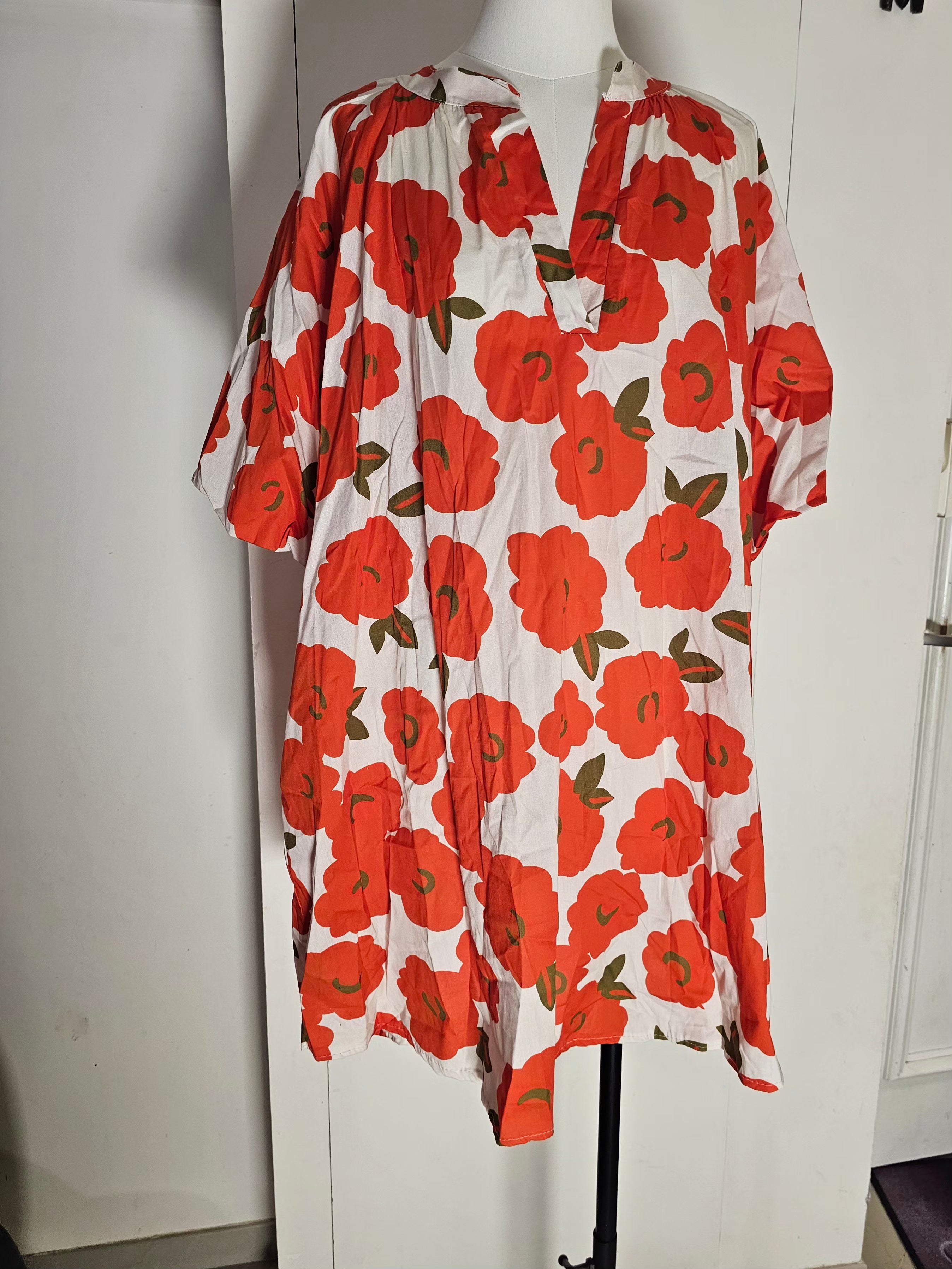 Robes manches bouffantes