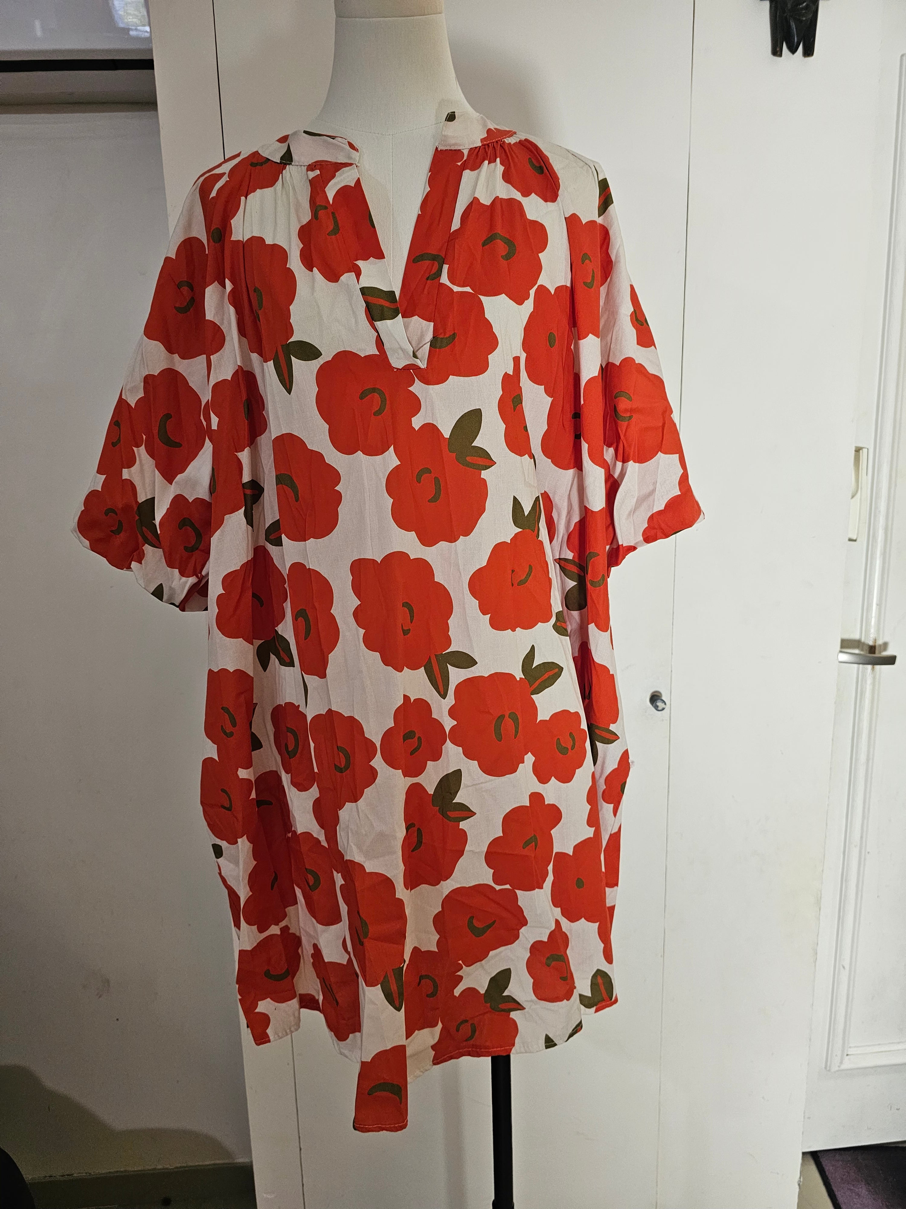 Robes manches bouffantes